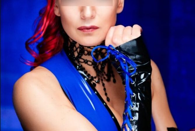 Meesteres-fox-in-almere